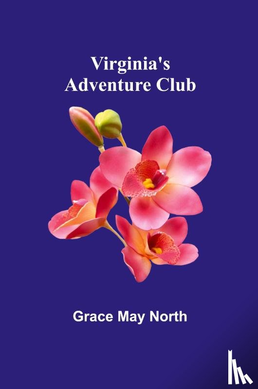 May North, Grace - Prisoners in Devils Bog A Skippy Dare Mystery Story (Edition1)