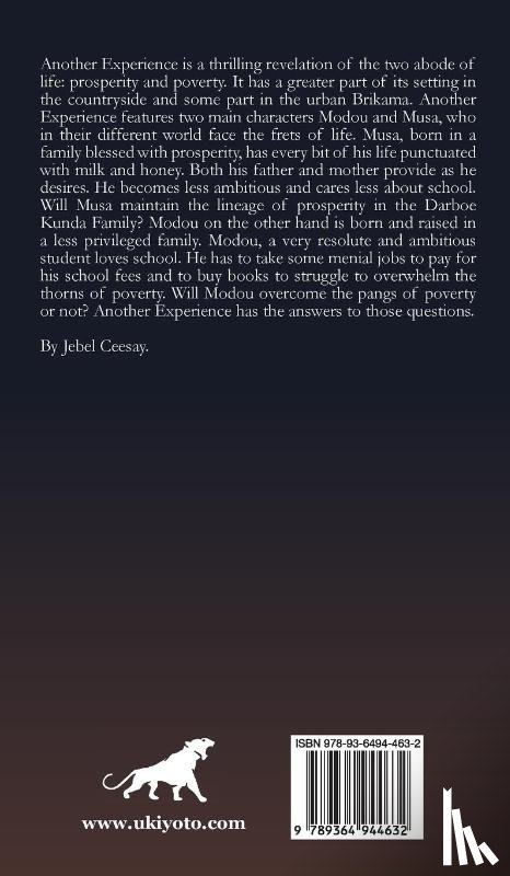 Musa O Sowe - Another Experience