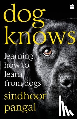 Sindhoor Pangal - Dog Knows