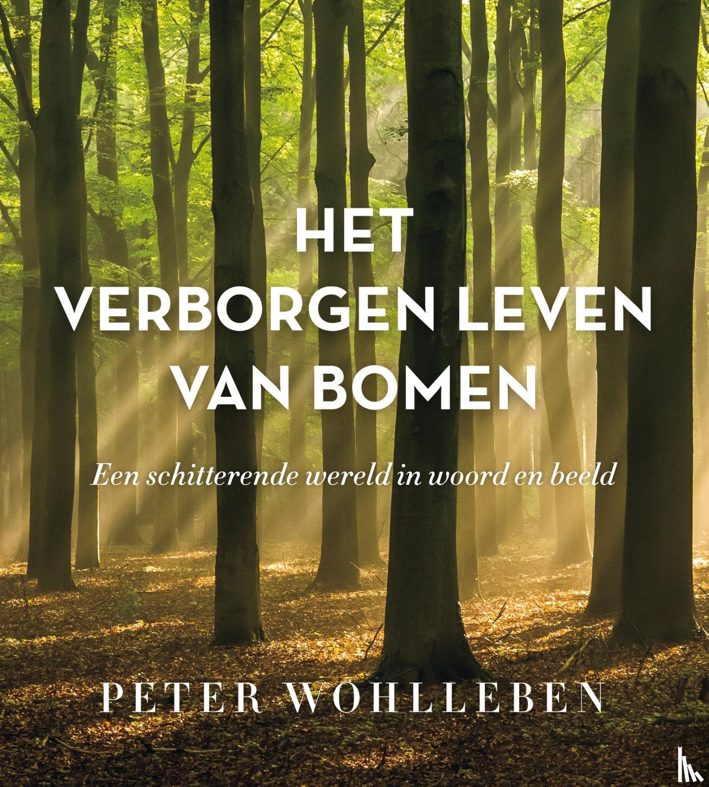 Wohlleben, Peter - Het verborgen leven van bomen