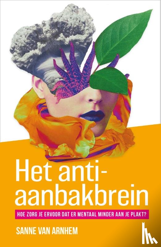 Arnhem, Sanne van - Het anti-aanbakbrein