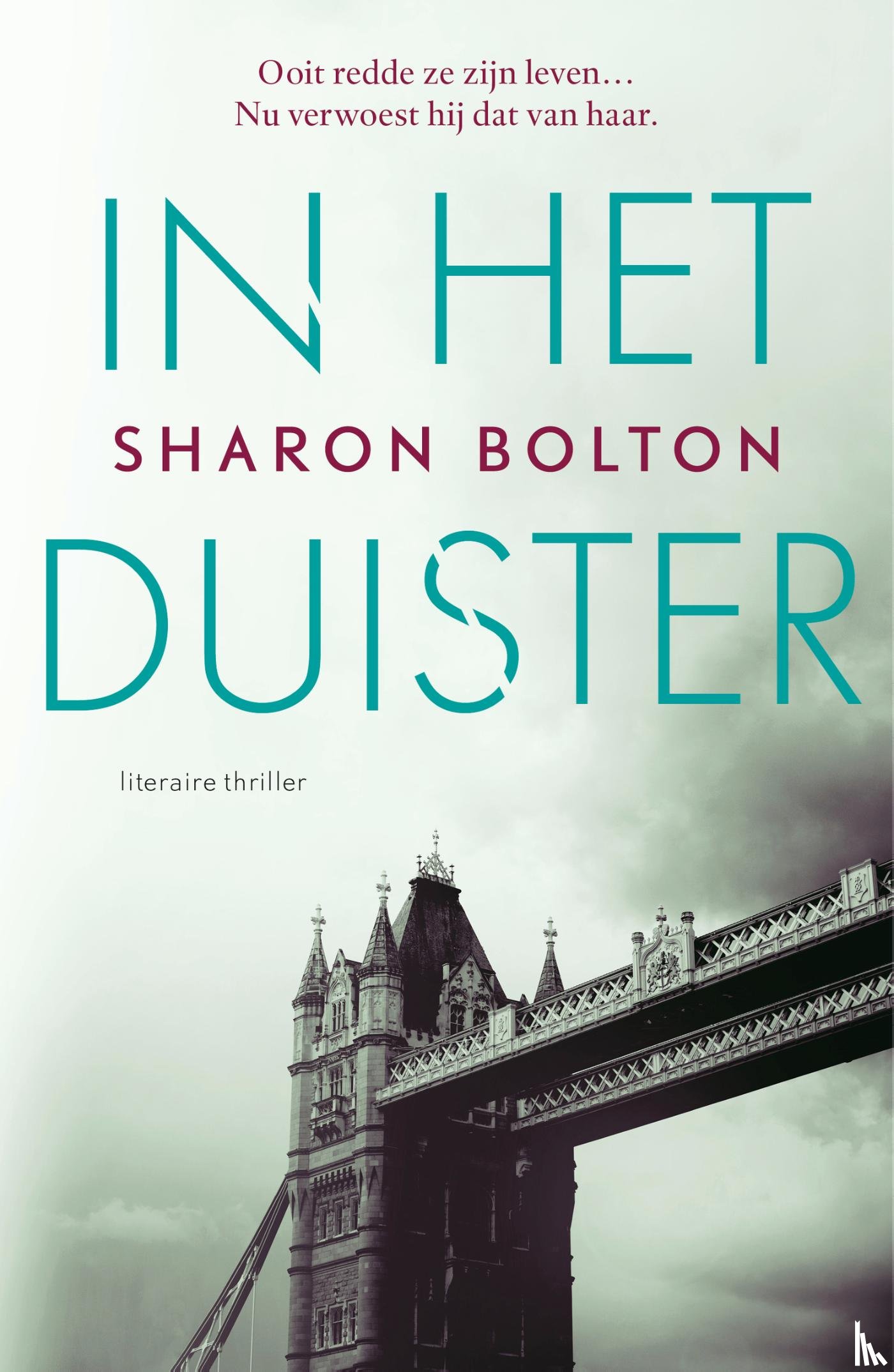 Bolton, Sharon - In het duister