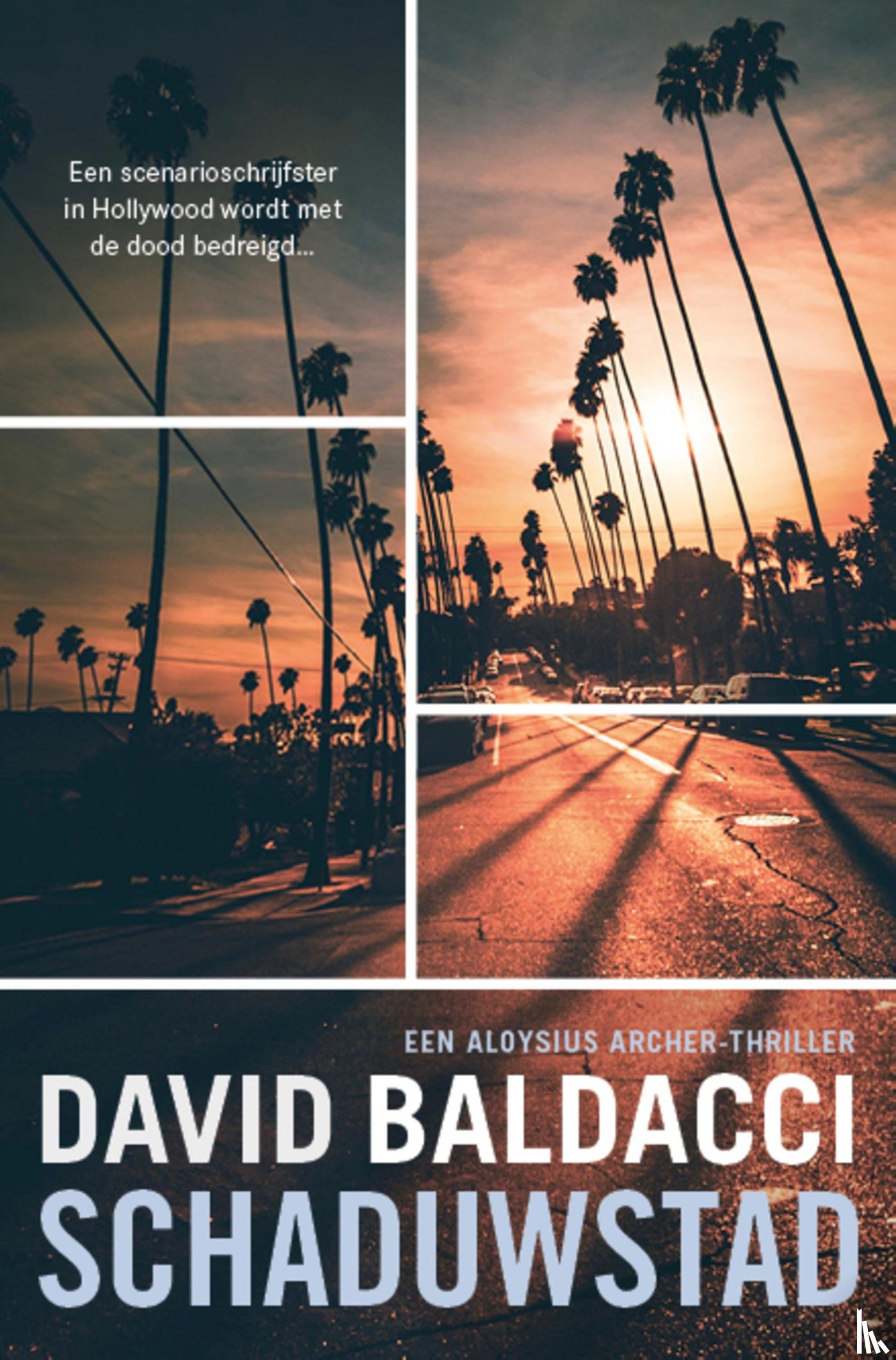 Baldacci, David - Schaduwstad