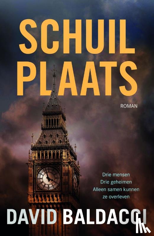 Baldacci, David - Schuilplaats