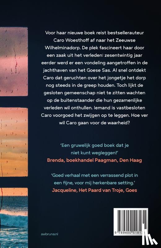 Jong, Shanna de - Niets gezien