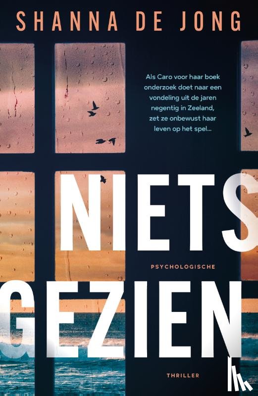Jong, Shanna de - Niets gezien