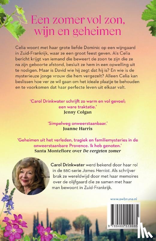 Drinkwater, Carol - Een zomer in de Provence