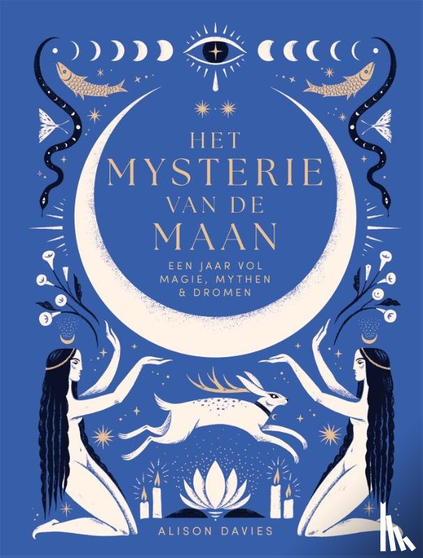 Davies, Alison - Het mysterie van de maan