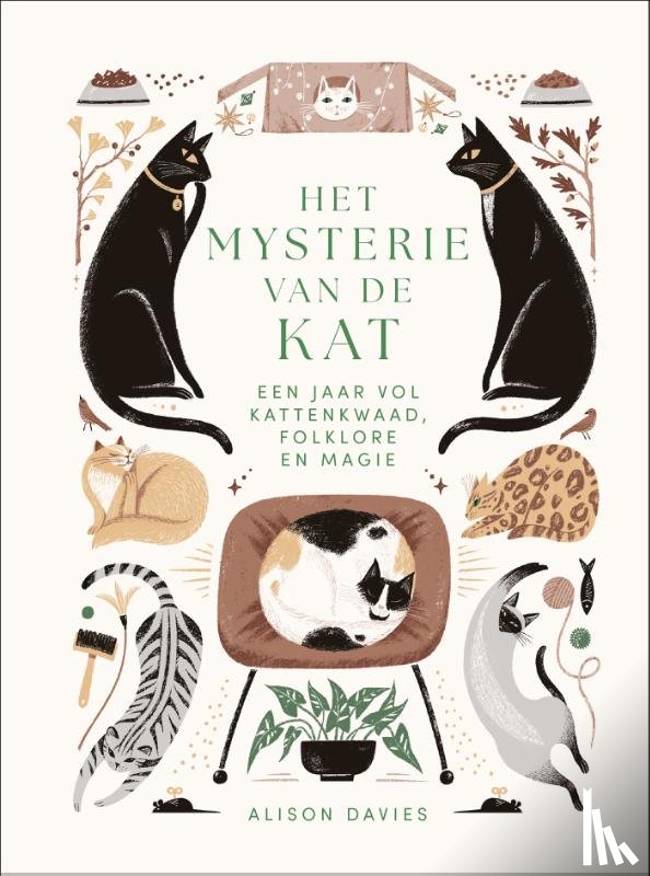 Davies, Alison - Het mysterie van de kat