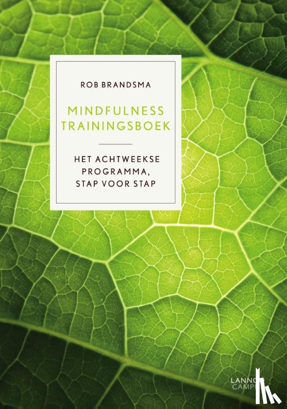 Brandsma, Rob - Mindfulness trainingsboek