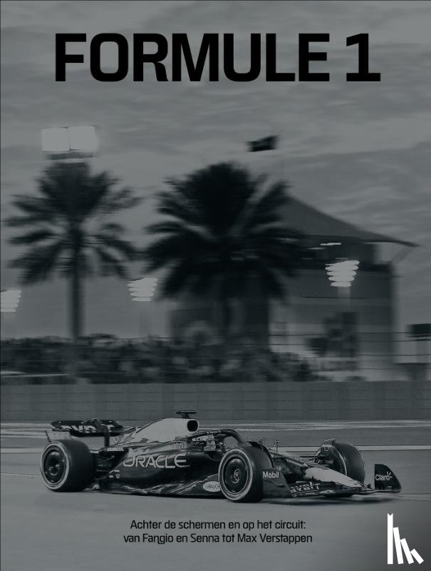 Nygaard, Peter - Formule 1