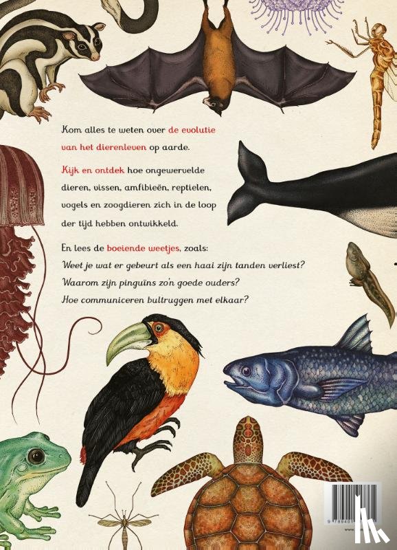 Broom, Jenny - Het dierenboek