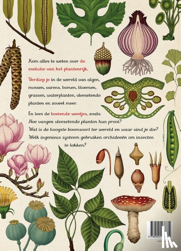 Scott, Katie, Willis, Kathy - Het plantenboek