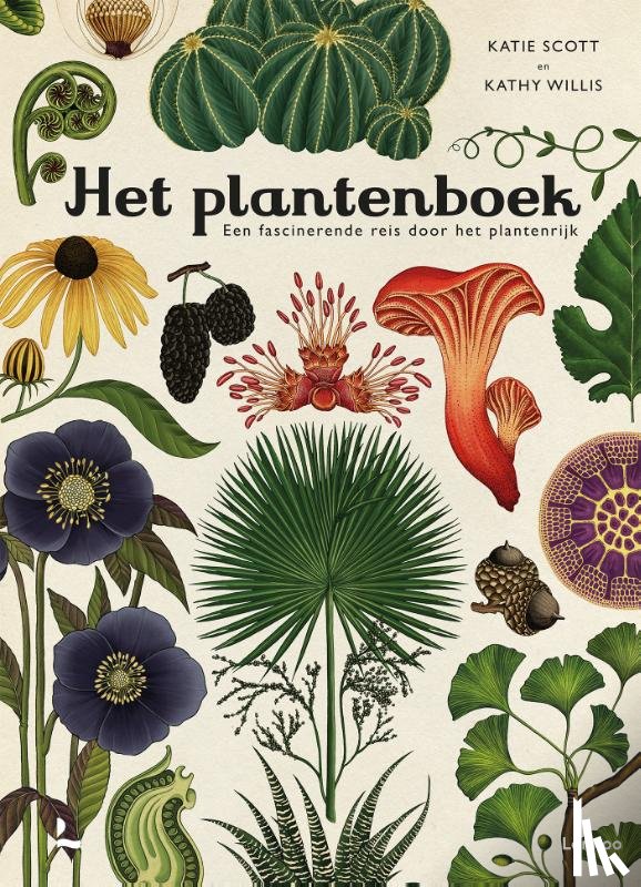 Scott, Katie, Willis, Kathy - Het plantenboek