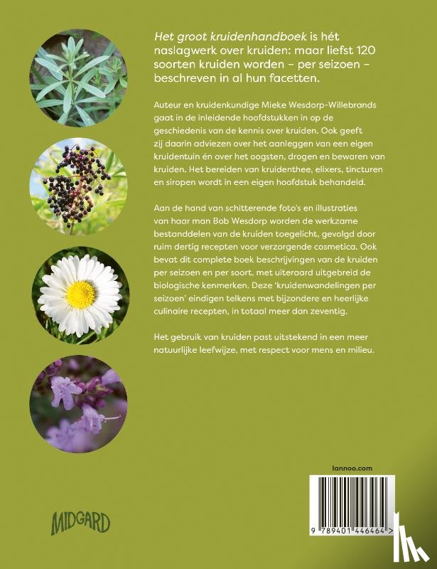 Wesdorp-Willebrands, Mieke - Het groot kruidenhandboek
