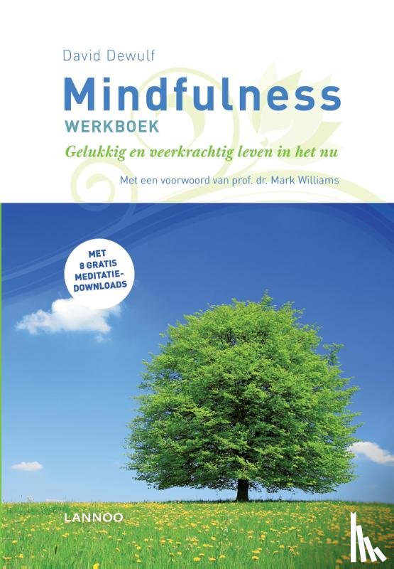 Dewulf, David - Mindfulness werkboek