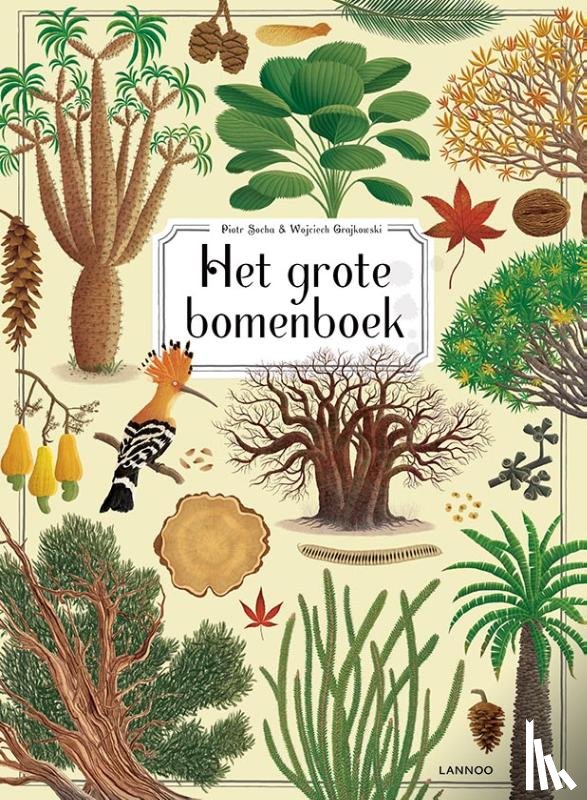 Socha, Piotr, Grajkowski, Wojciech - Het grote bomenboek