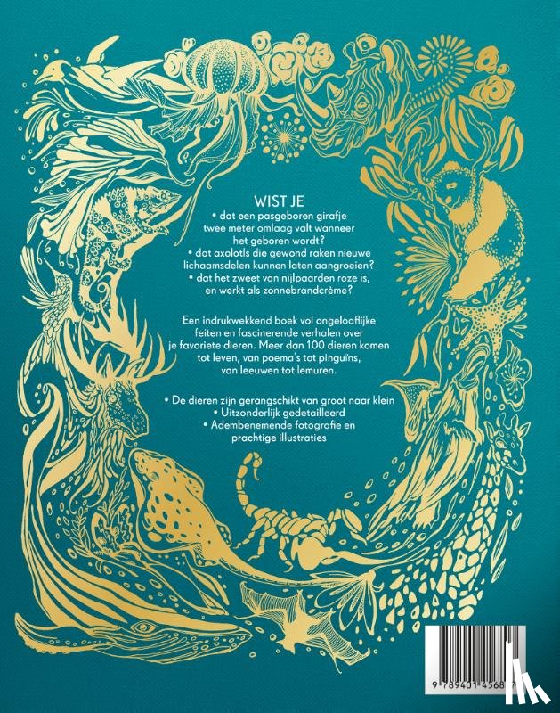 Hoare, Ben - Het dikke boek van alle bijzondere dieren