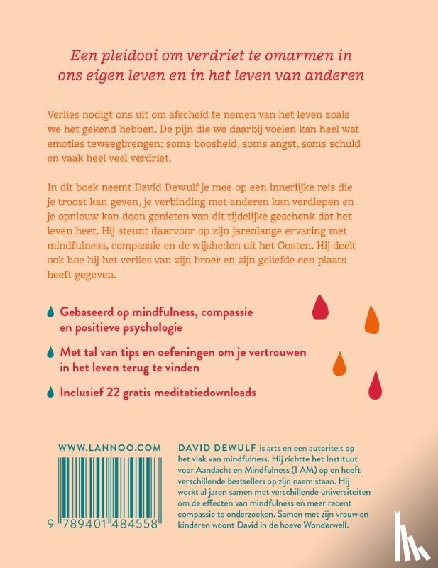 Dewulf, David - Anders omgaan met verdriet