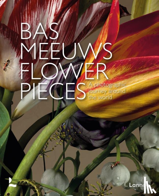 Meeuws, Bas - Flower Pieces