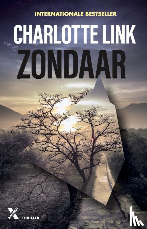 Link, Charlotte - Zondaar