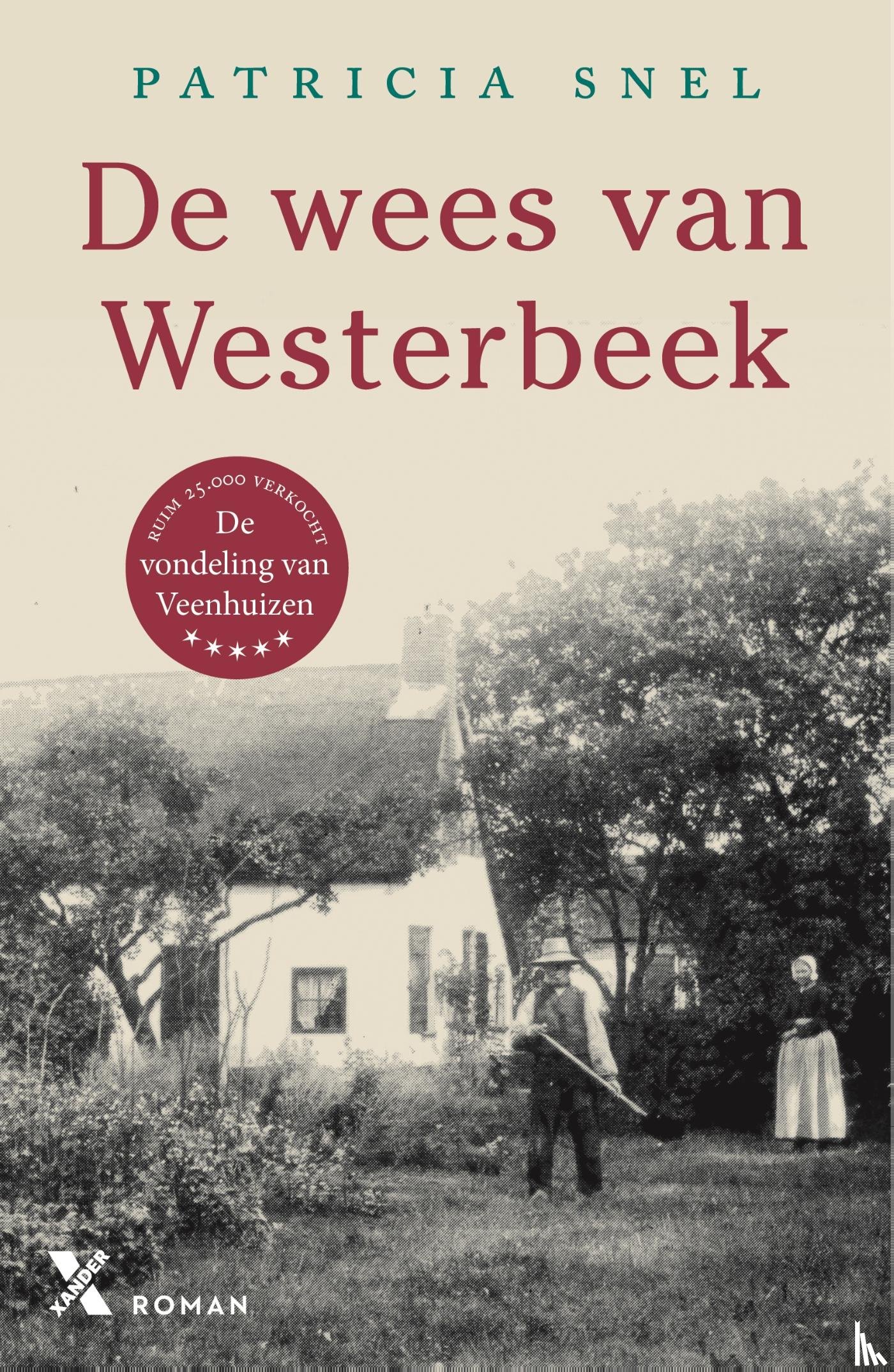 Snel, Patricia - De wees van Westerbeek