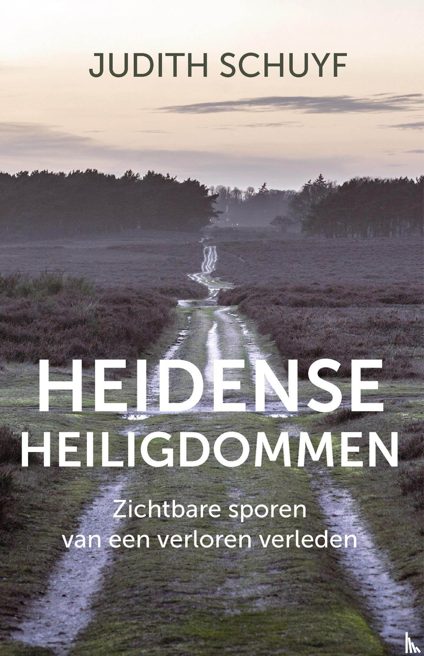 Schuyf, Judith - Heidense heiligdommen