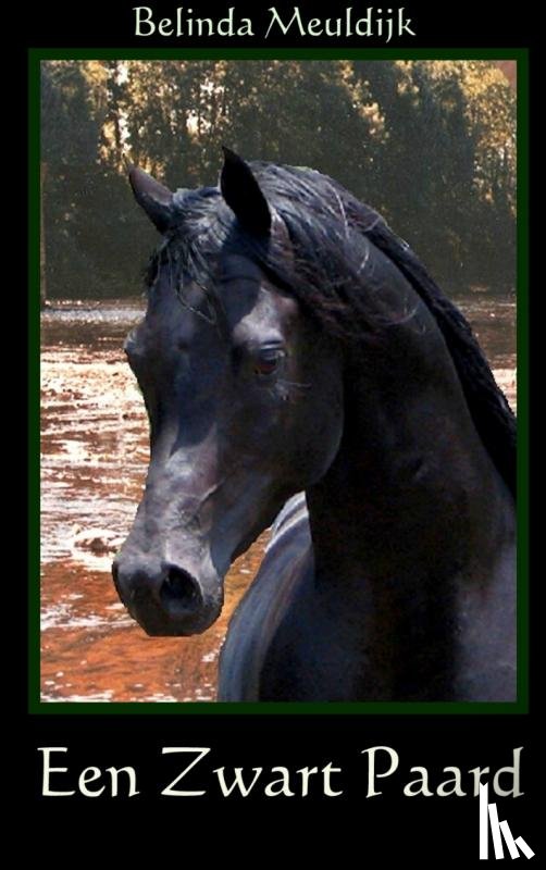 Meuldijk, Belinda - Een zwart paard