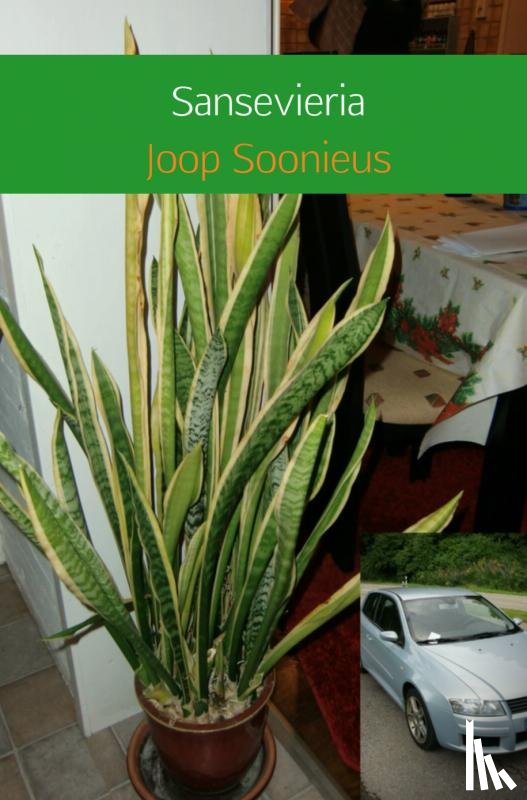 Soonieus, Joop - Sansevieria