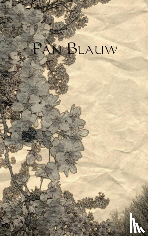 Post, S.R. - Pan Blauw