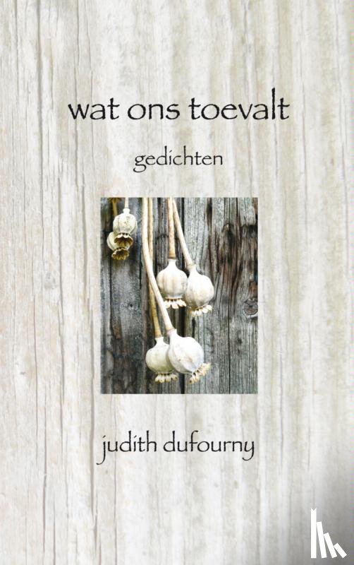 Dufourny, Judith - Wat ons toevalt