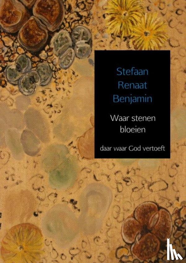 Benjamin, Stefaan Renaat - Waar stenen bloeien