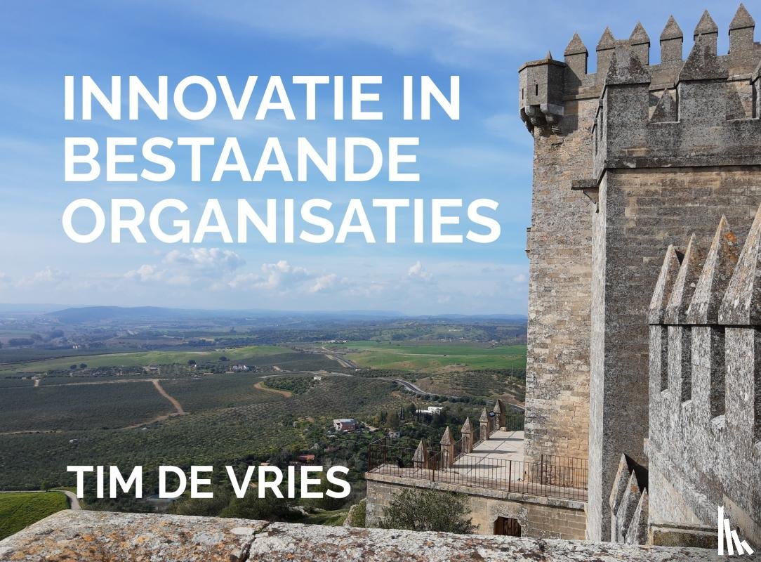 De Vries, Tim - Innovatie in bestaande organisaties