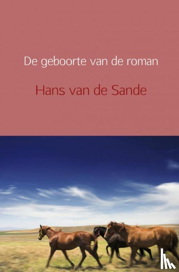Sande, Hans van de - De geboorte van de roman
