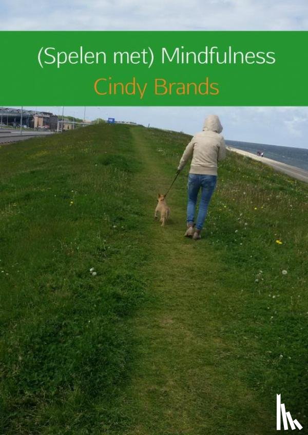 Brands, Cindy - Spelen met mindfulness