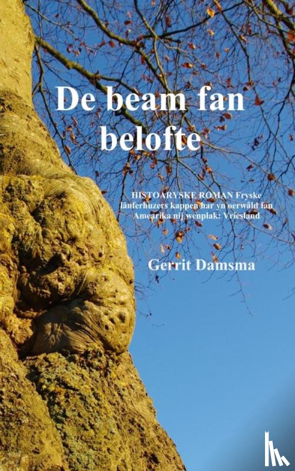 Damsma, Gerrit - De beam fan belofte