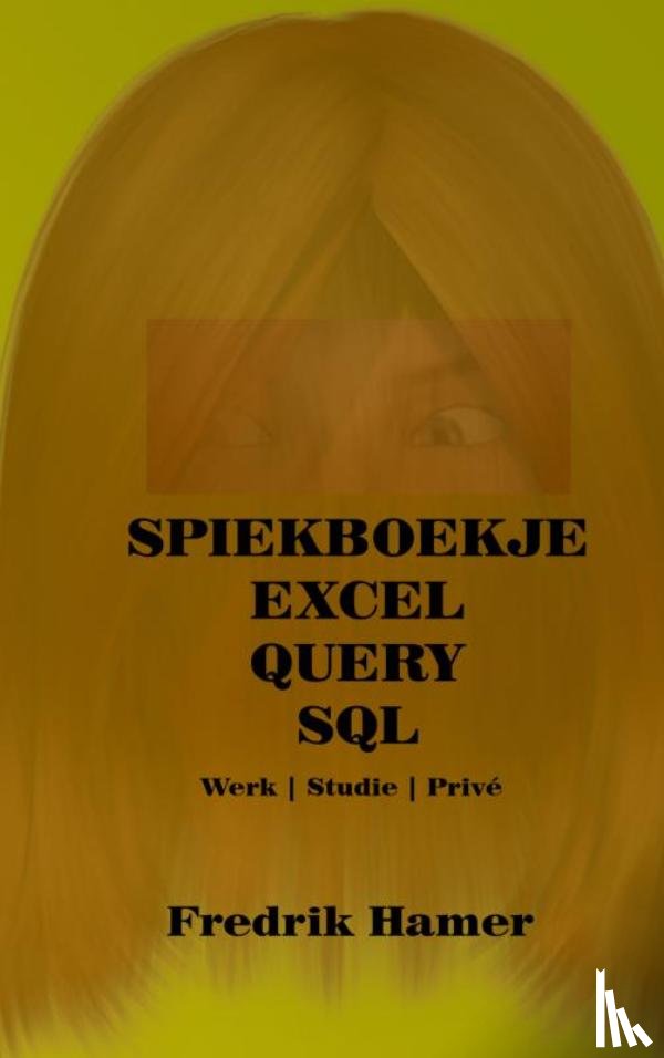 Hamer, Fredrik - Spiekboekje Excel Query SQL