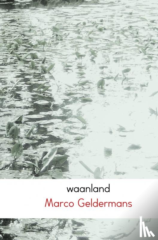 Geldermans, Marco - Waanland