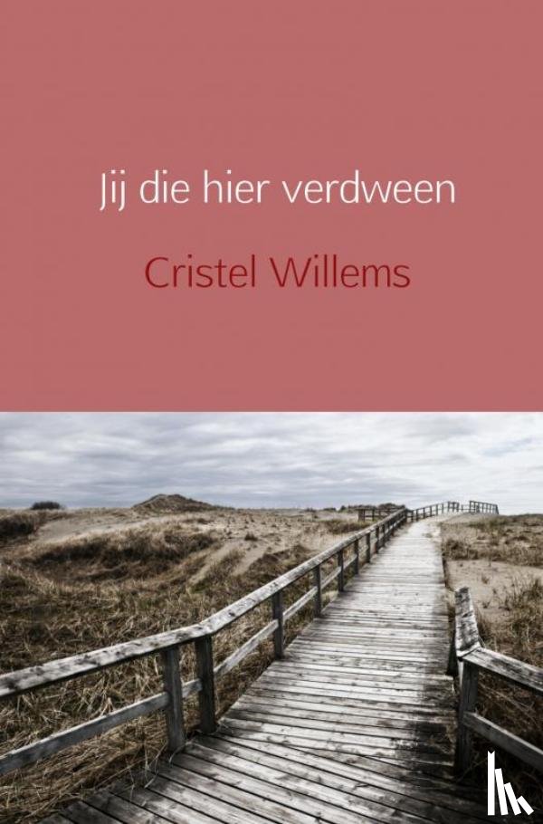 Willems, Cristel - Jij die hier verdween