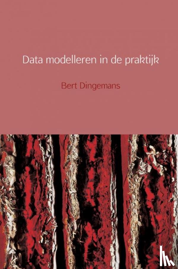 Dingemans, Bert - Data modelleren in de praktijk