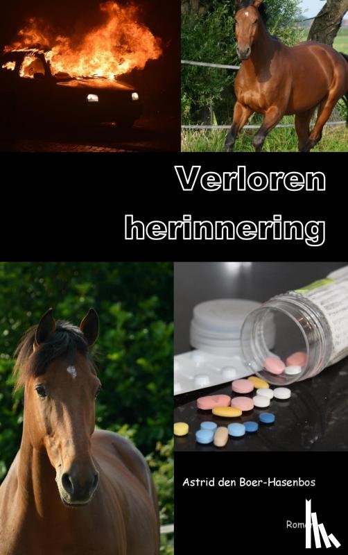 den Boer-Hasenbos, Astrid - Verloren herinnering