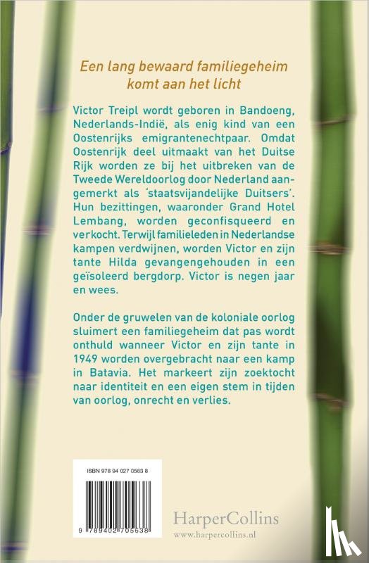 Treipl, Birgit - Schuilen tussen bamboe