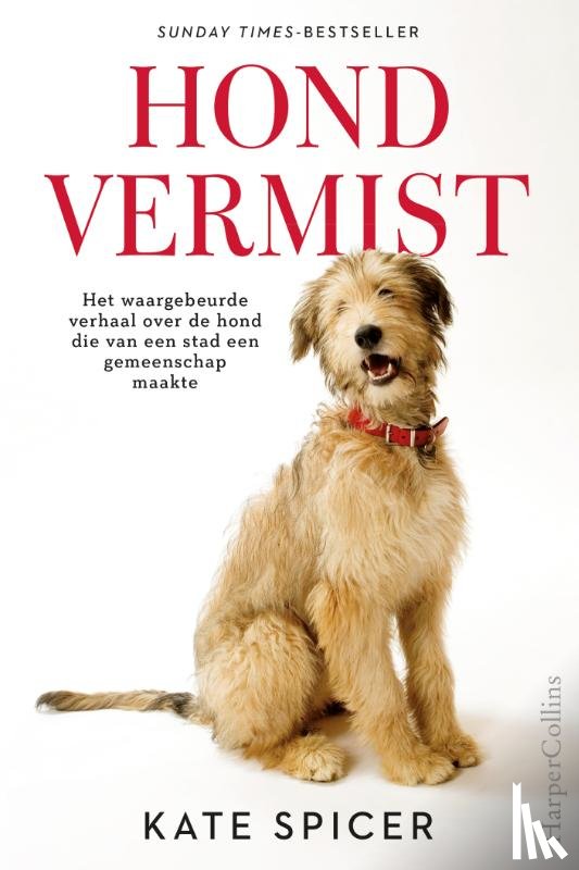 Spicer, Kate - Hond vermist