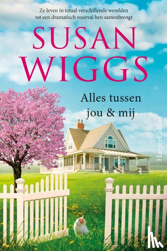 Wiggs, Susan - Alles tussen jou & mij