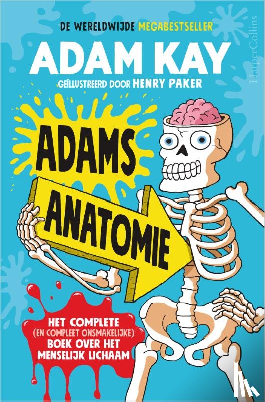 Kay, Adam - Adams anatomie