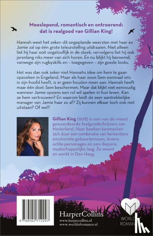 King, Gillian - Belofte maakt schuld