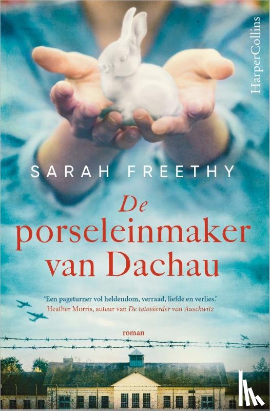 Freethy, Sarah - De porseleinmaker van Dachau