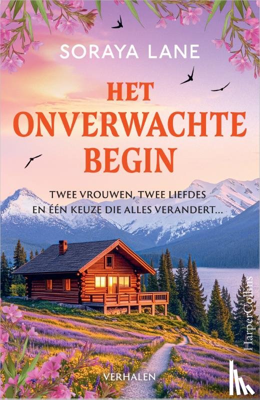 Het onverwachte begin