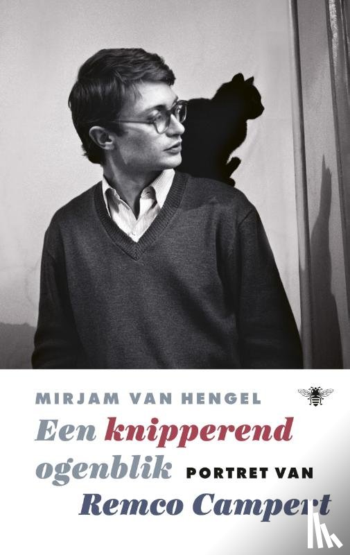 Hengel, Mirjam van - Een knipperend ogenblik