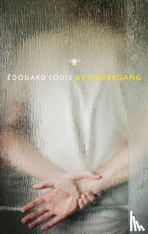 Louis, Édouard - De ondergang